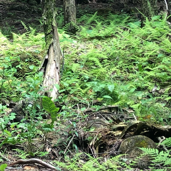 Meet your Posher, Macana - Picture 1 of 1